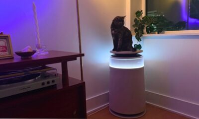 Dreame FP10 Air Purifier: Self-Cleaning Filter Meets Living Room Chic