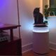 Dreame FP10 Air Purifier: Self-Cleaning Filter Meets Living Room Chic